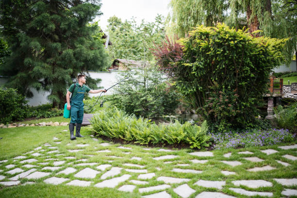 Best Emergency Pest Control  in Ilchester, MD