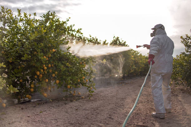 Best Pest Control Near Me  in Ilchester, MD