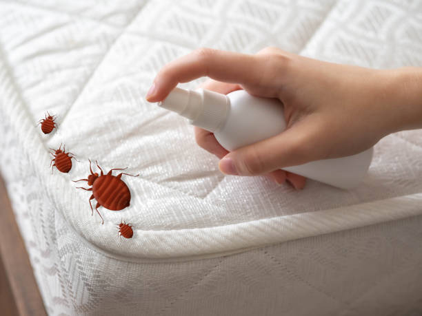 Best Affordable Pest Control Services  in Ilchester, MD