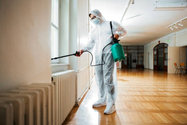 Professional Pest Control in Ilchester, MD